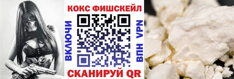 КОКАИН Fish Scale  сколько стоит  KRAKEN ССЫЛКА  Верхняя Салда 