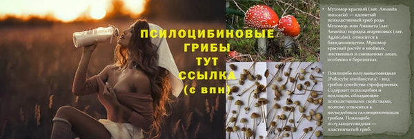 mix Арсеньев