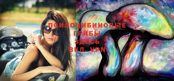 не бодяженный Снежногорск